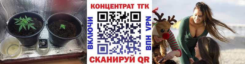 где купить наркотик  Ладушкин  hydra зеркало  ТГК THC oil 