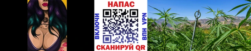 Марихуана SATIVA & INDICA  mega зеркало  Ладушкин  купить наркотик 
